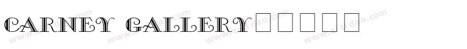 carney gallery字体转换